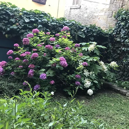 Casa Monteverdi *
